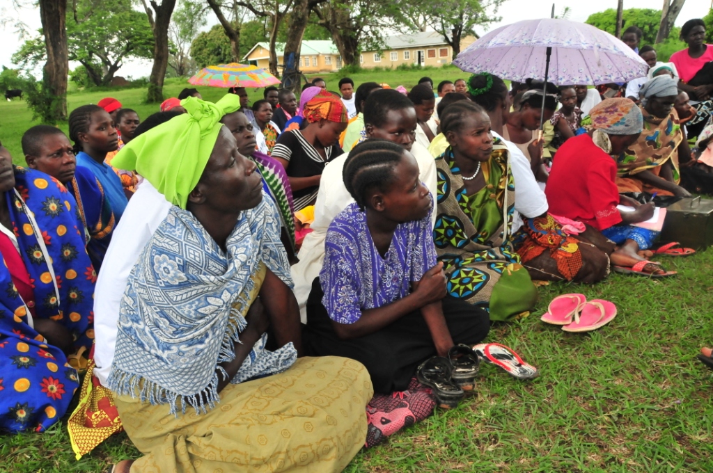 a group of people sitting on the grass