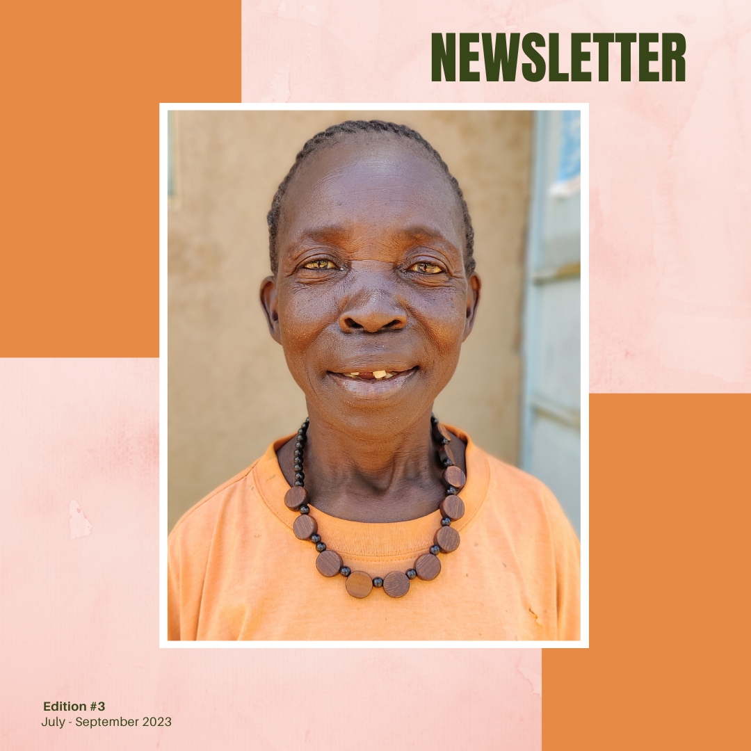 Newsletters mifumi